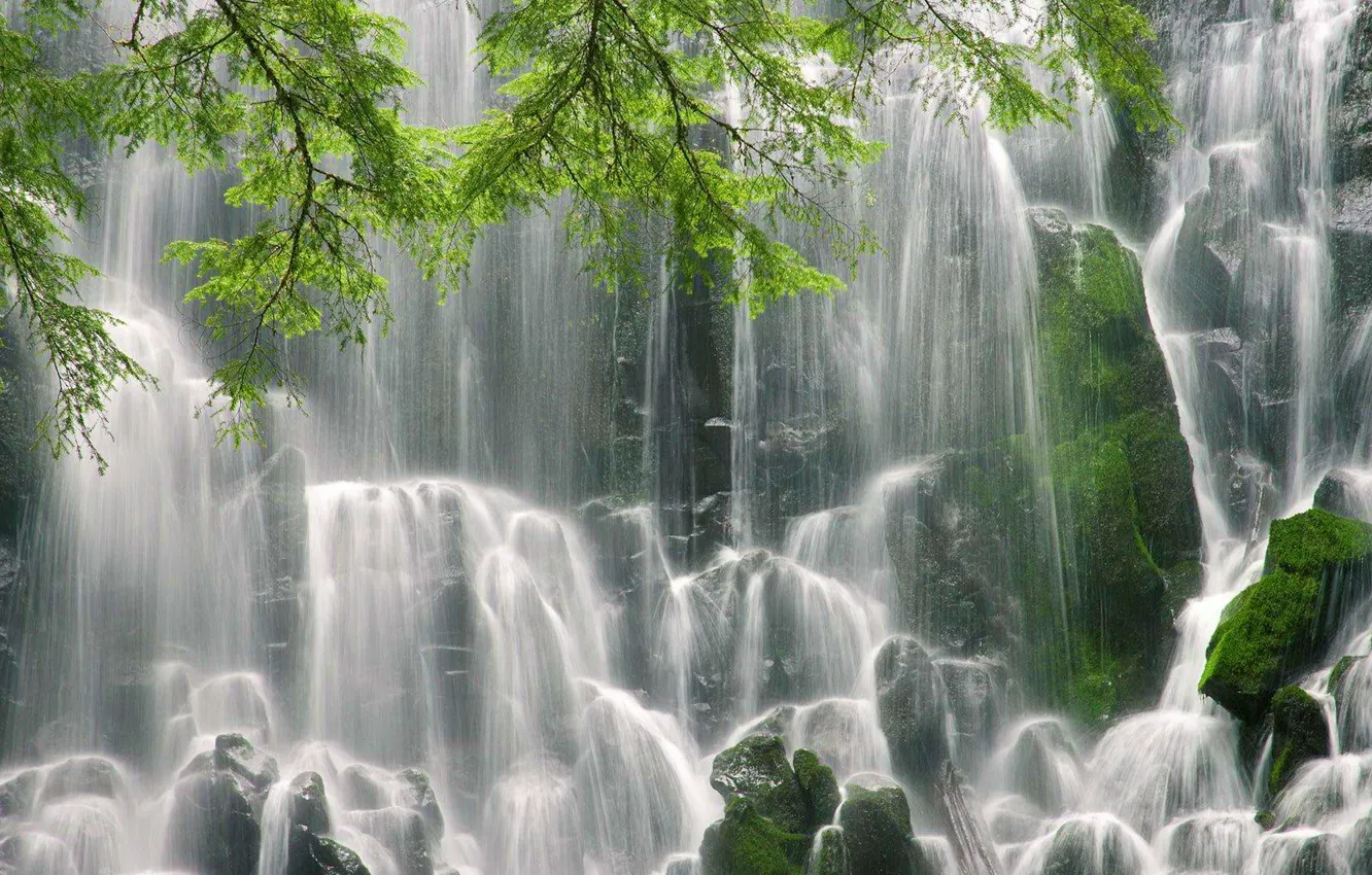 Фото обои камни, ветви, мох, Водопад Рамона, Оригон