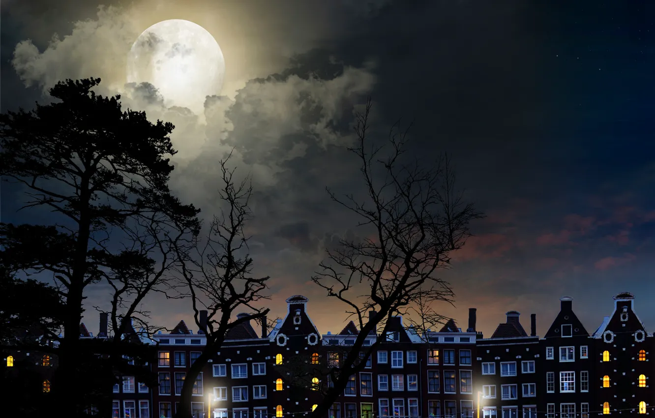 Фото обои небо, облака, деревья, пейзаж, луна, moon, sky, trees