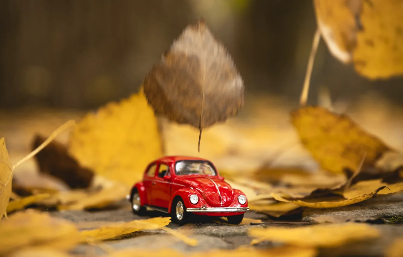 Фото обои осень, листья, макро, игрушка, машинка, листопад