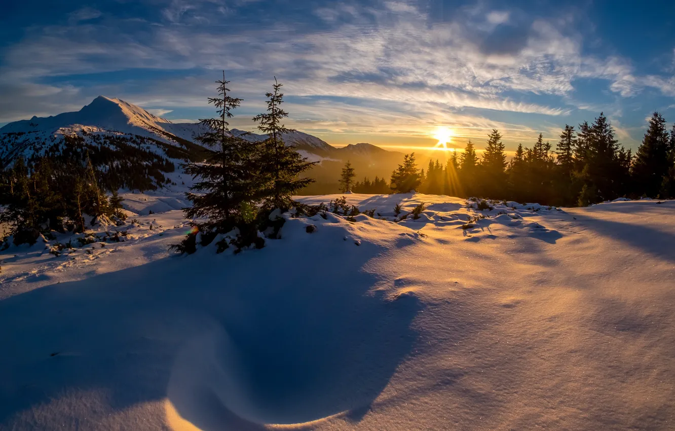 Фото обои зима, лес, солнце, облака, лучи, свет, снег, закат