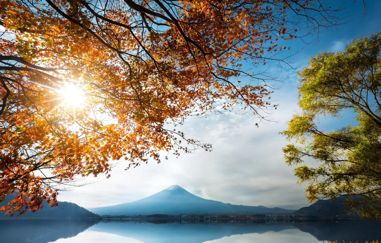 Фото обои осень, листья, деревья, горы, ветки, озеро, берег, лучи солнца