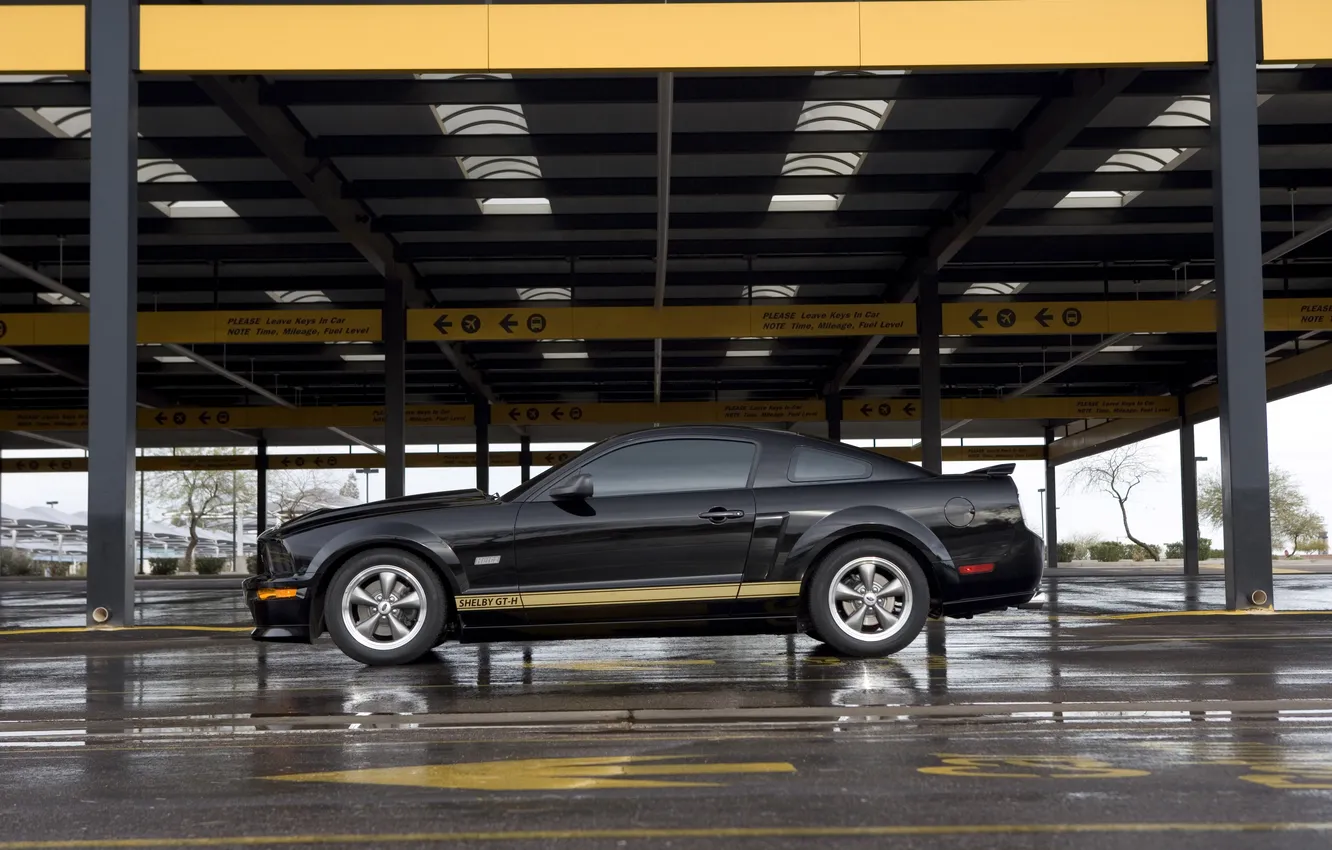 Фото обои асфальт, мокрый, гараж, ShelbyGT500KR