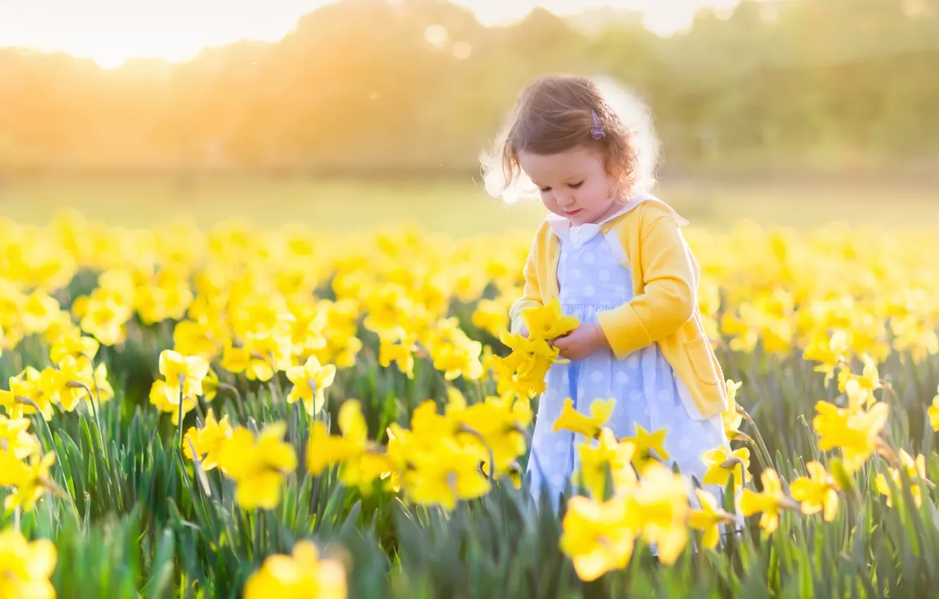 Фото обои поле, солнце, цветы, ребенок, девочка, fields, нарциссы, little girls