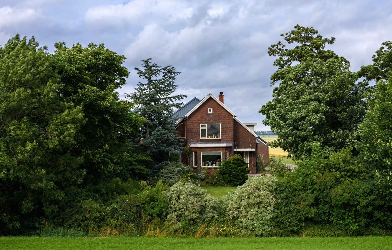 Фото обои зелень, поле, трава, деревья, дом, сад, Нидерланды, кусты