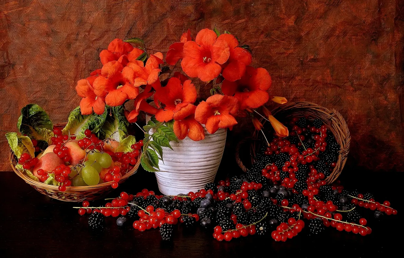Фото обои цветы, ягоды, виноград, натюрморт, ежевика, красная смородина