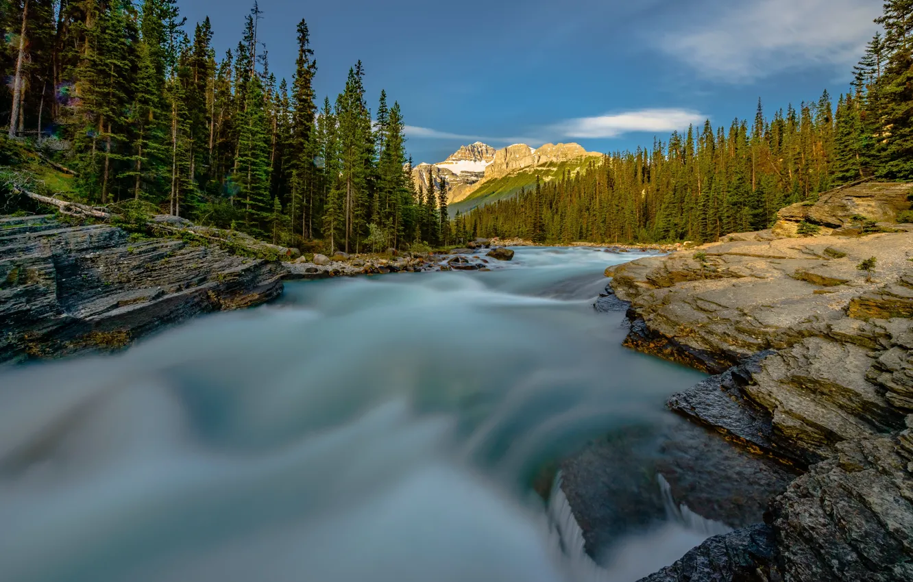 Фото обои лес, деревья, горы, река, Канада, Альберта, Banff National Park, Alberta