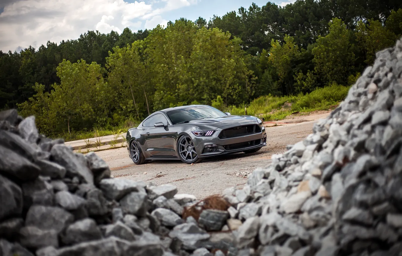Фото обои Mustang, Ford, Stones, 2015, 0.5