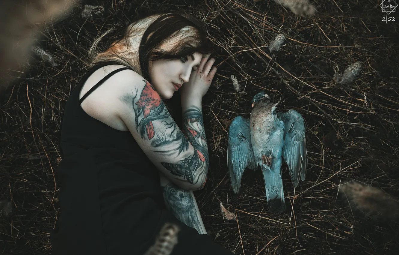 Фото обои девушка, птица, Silent Purr, ☽ Feathers ☾