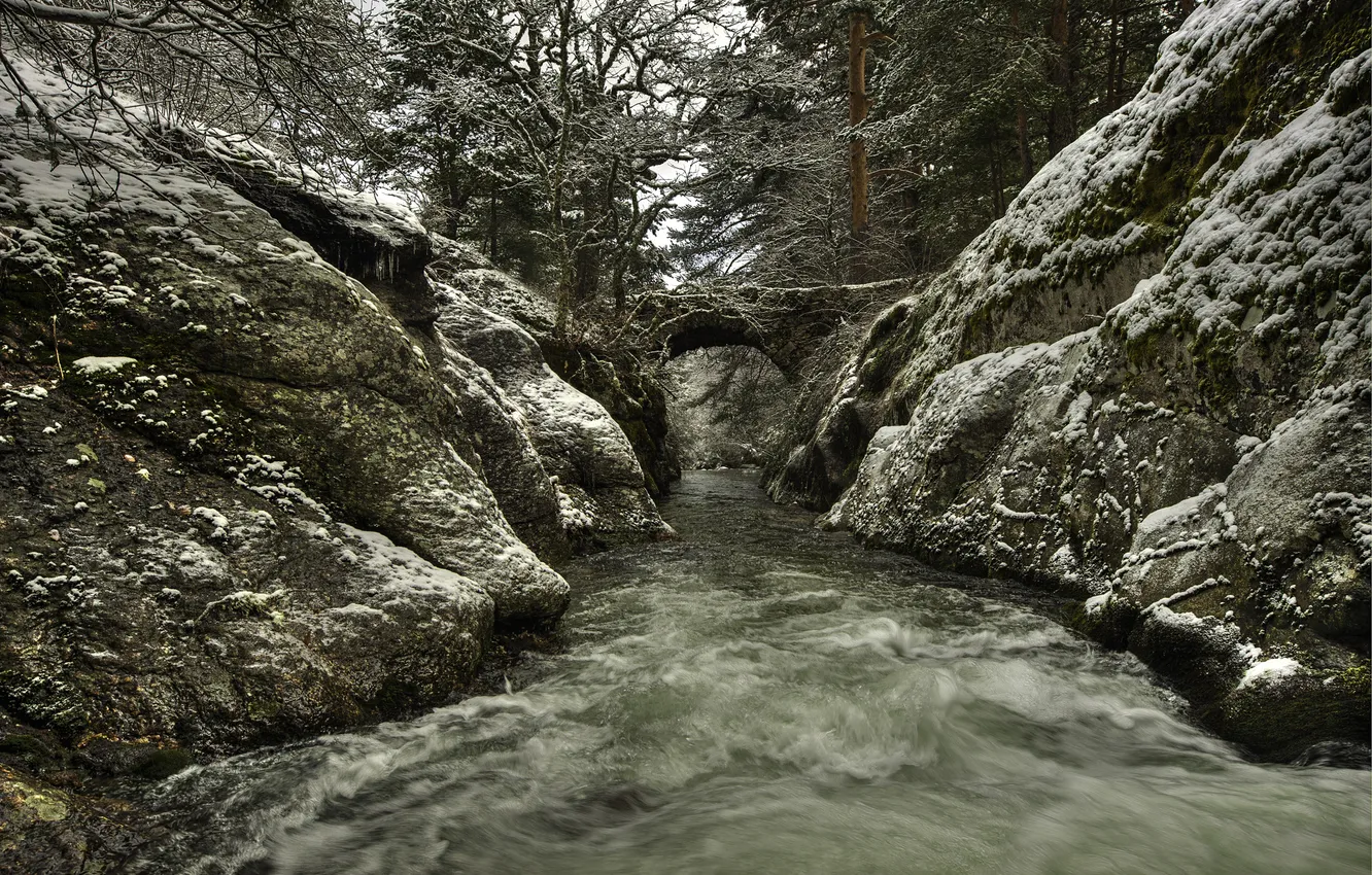 Фото обои снег, мост, парк, река, поток, Испания