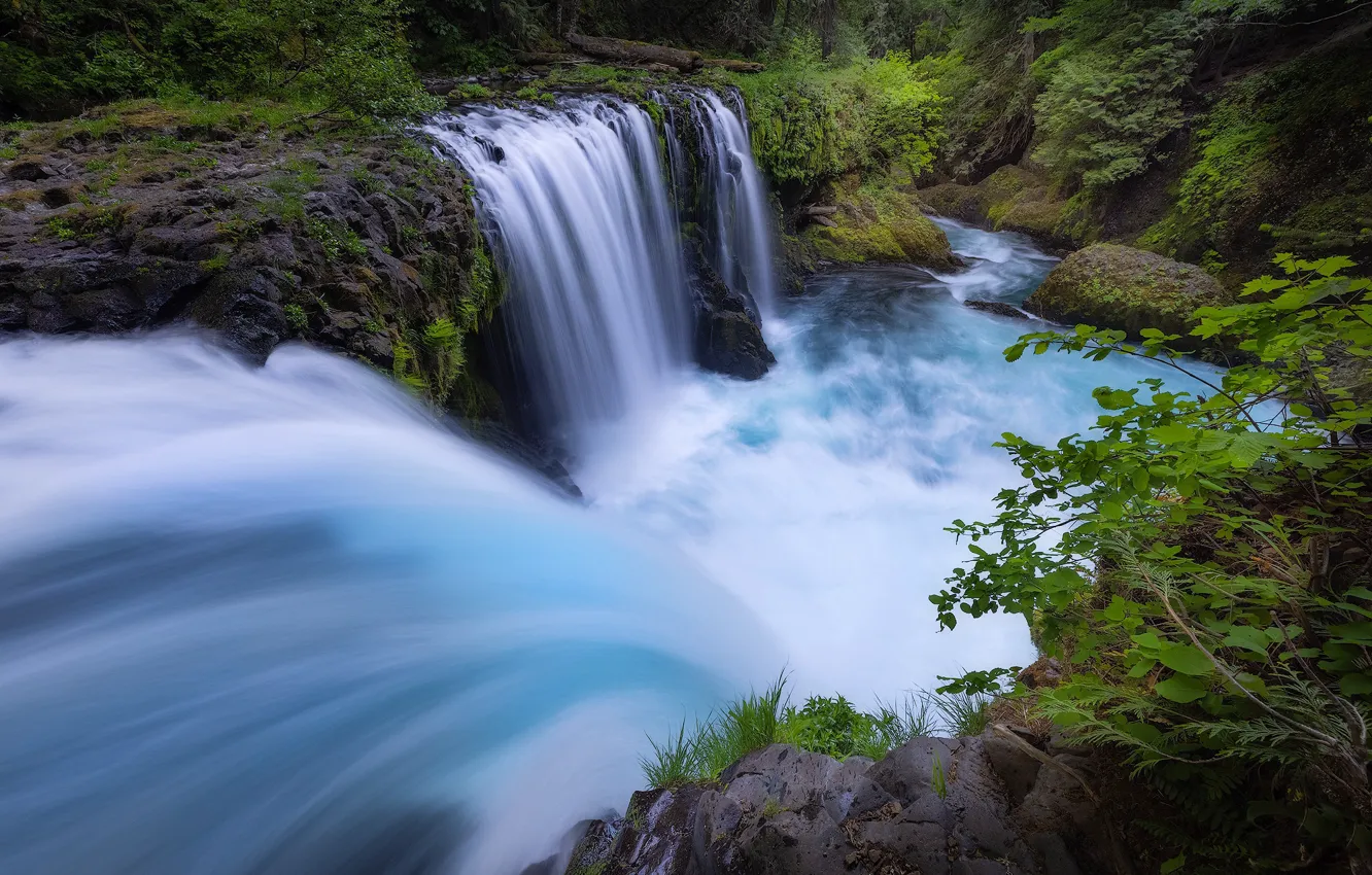 Фото обои лес, река, водопады, Columbia River Gorge, Washington State, Little White Salmon River, Spirit Falls, Ущелье …
