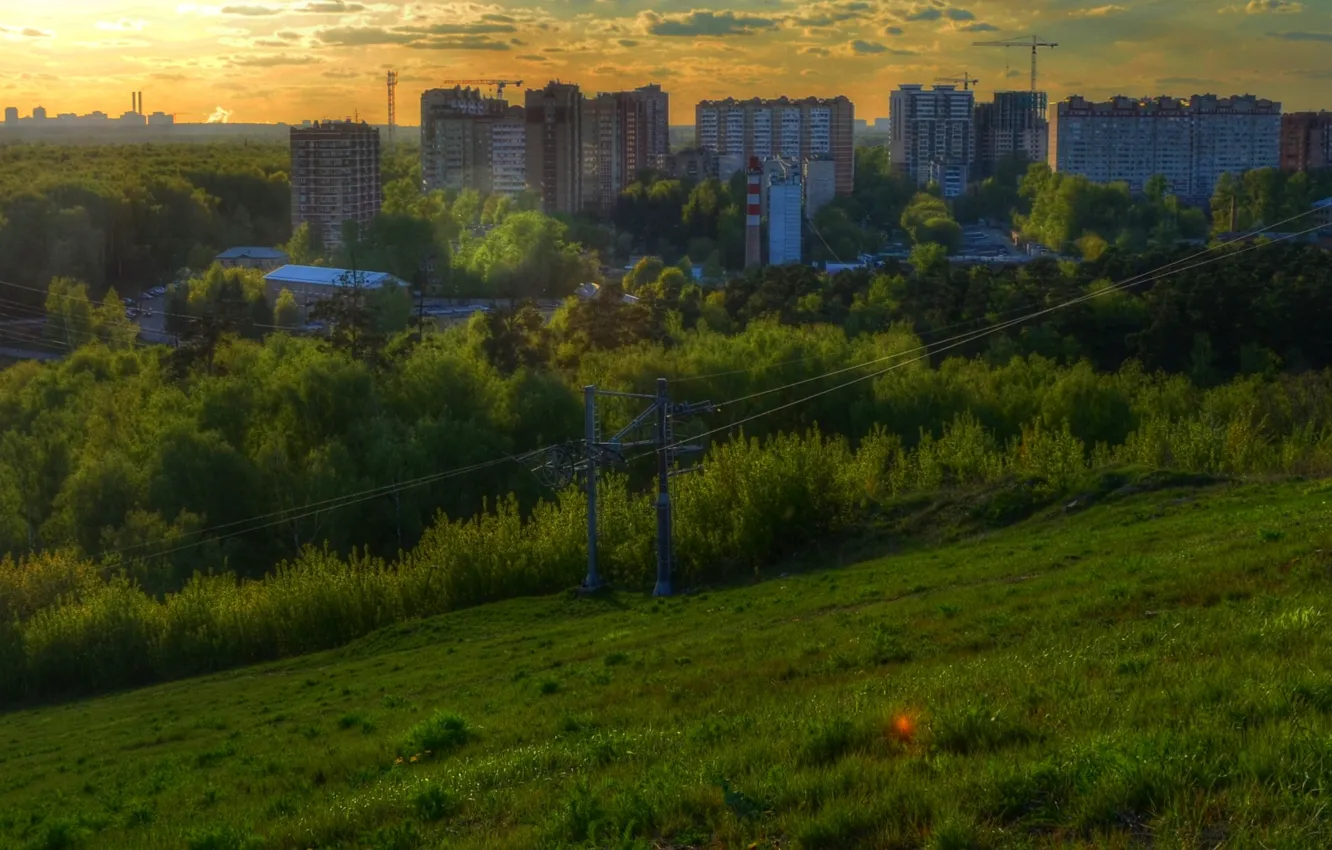 Фото обои лес, город, HDR