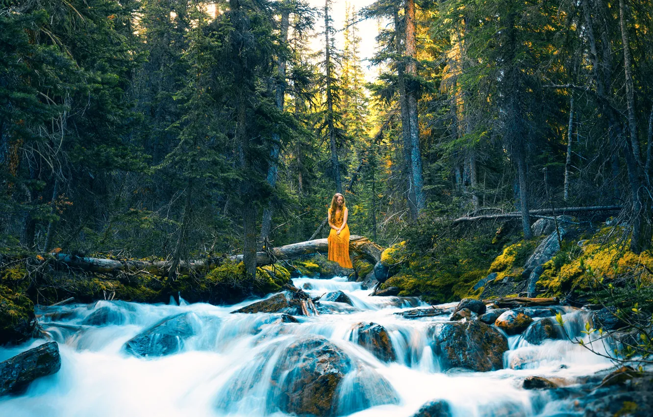 Фото обои лес, девушка, река, Lizzy Gadd, Where Thoughts Flow Freely