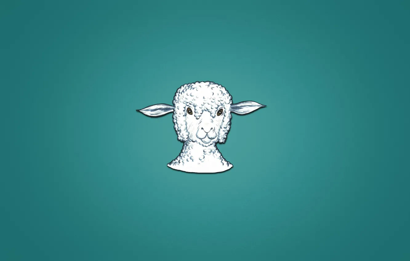Фото обои животное, минимализм, голова, барашек, sheep, овца, синеватый фон