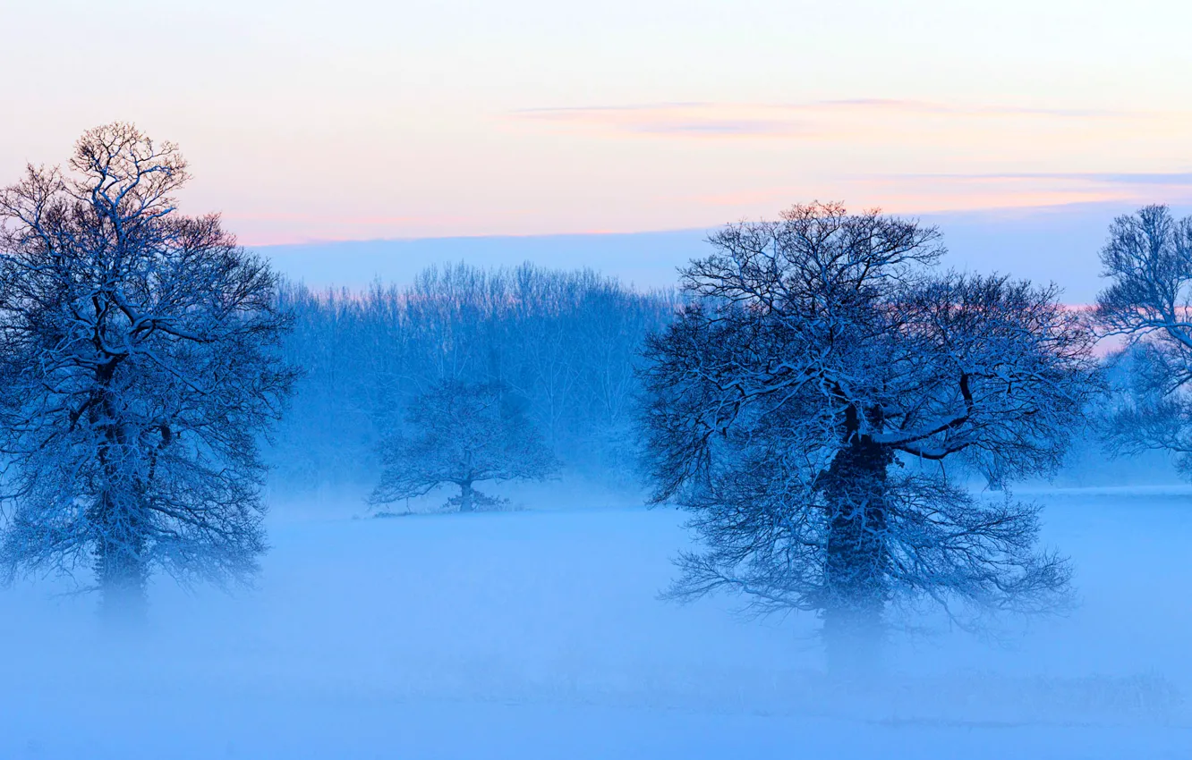 Фото обои зима, небо, облака, снег, деревья, панорама, дымка