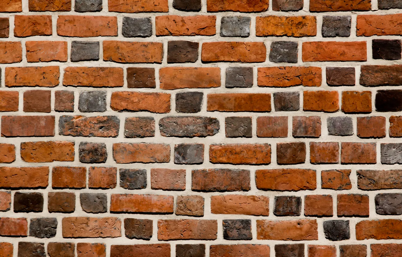 Фото обои wall, pattern, brick, cement, varied