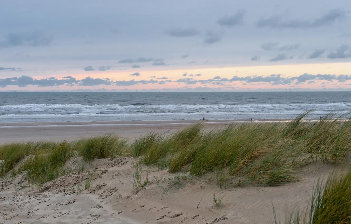 Фото обои море, закат, дюны