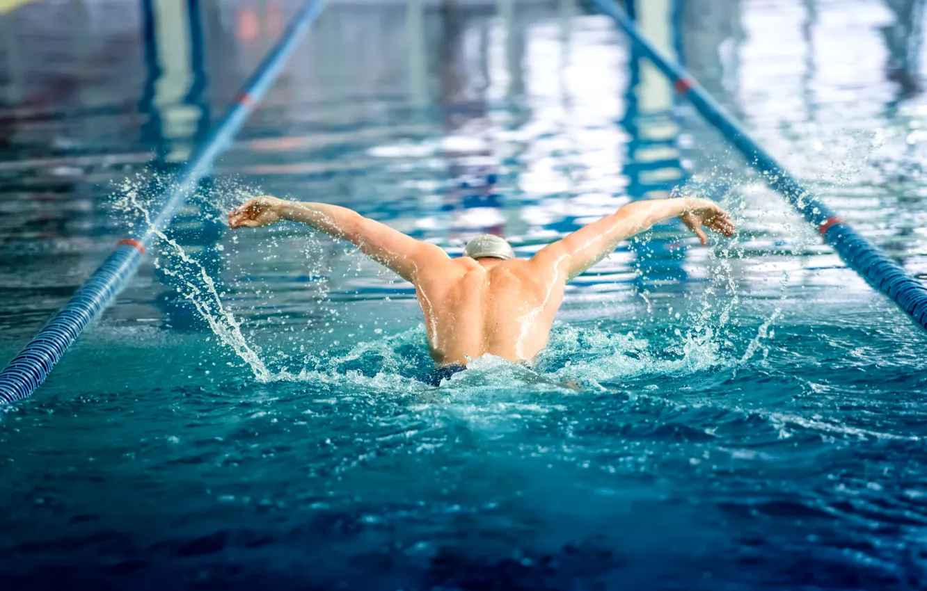 Фото обои water, swimming, butterfly swim
