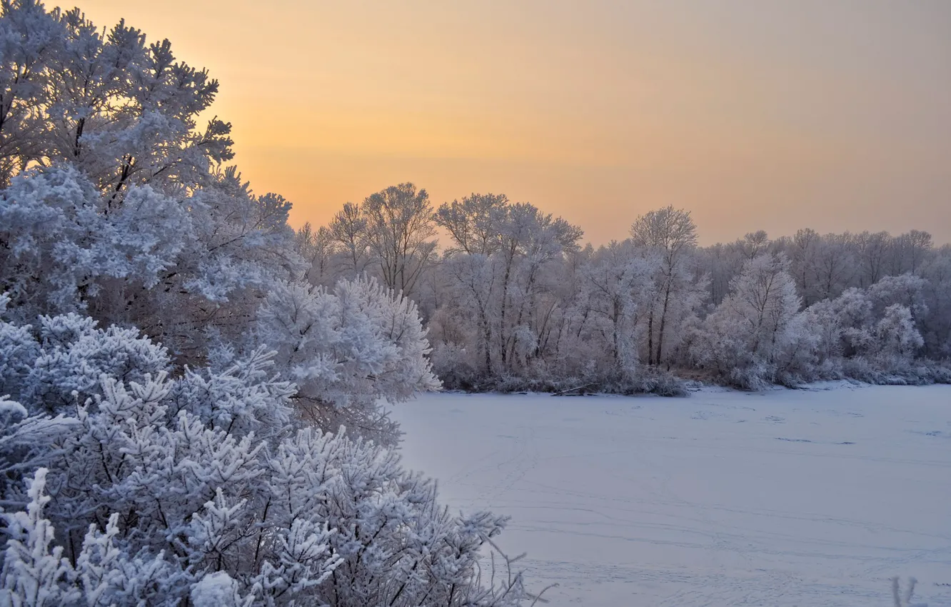 Фото обои зима, иней, снег, деревья, пейзаж, закат, природа, вечер