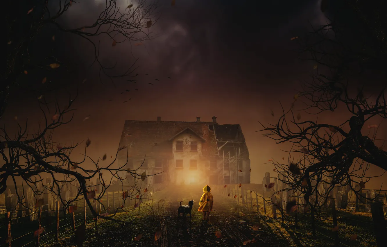 Фото обои поле, осень, листья, свет, деревья, ночь, ветки, дети