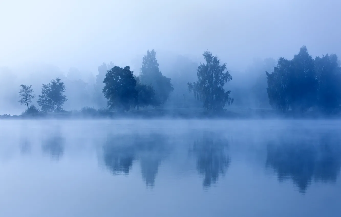 Фото обои деревья, туман, озеро, утро, сумерки