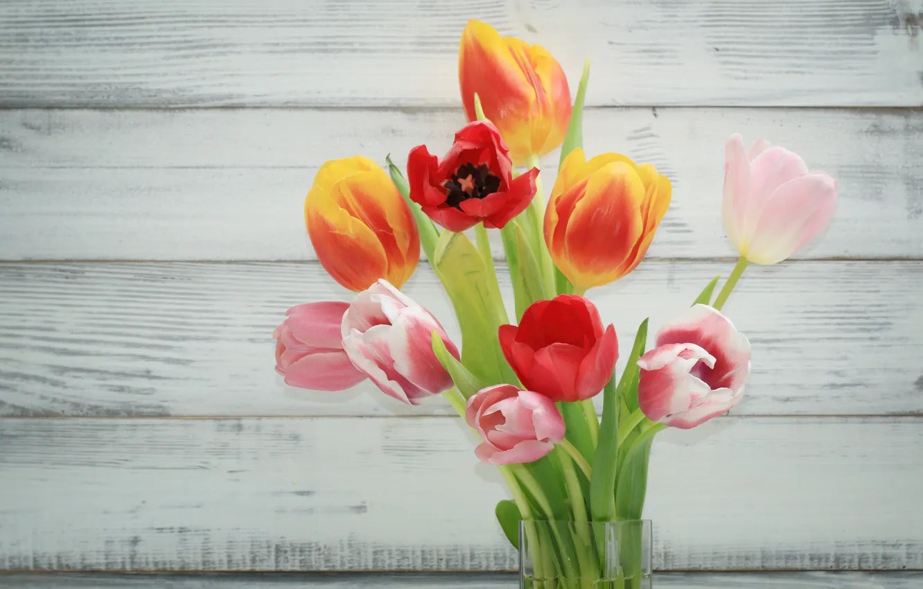 Фото обои цветы, colorful, тюльпаны, fresh, wood, flowers, beautiful, tulips