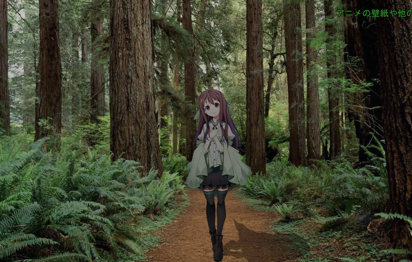 Фото обои лес, девушка, аниме, madskillz
