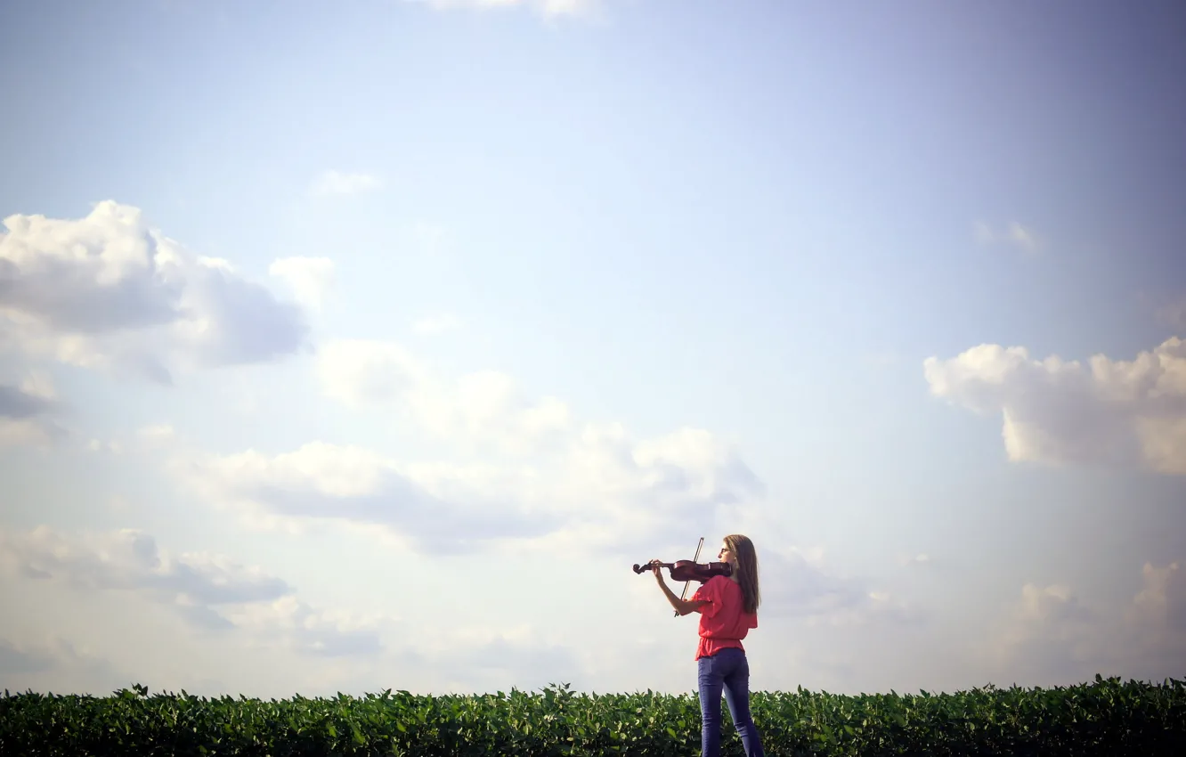 Фото обои поле, девушка, музыка, скрипка