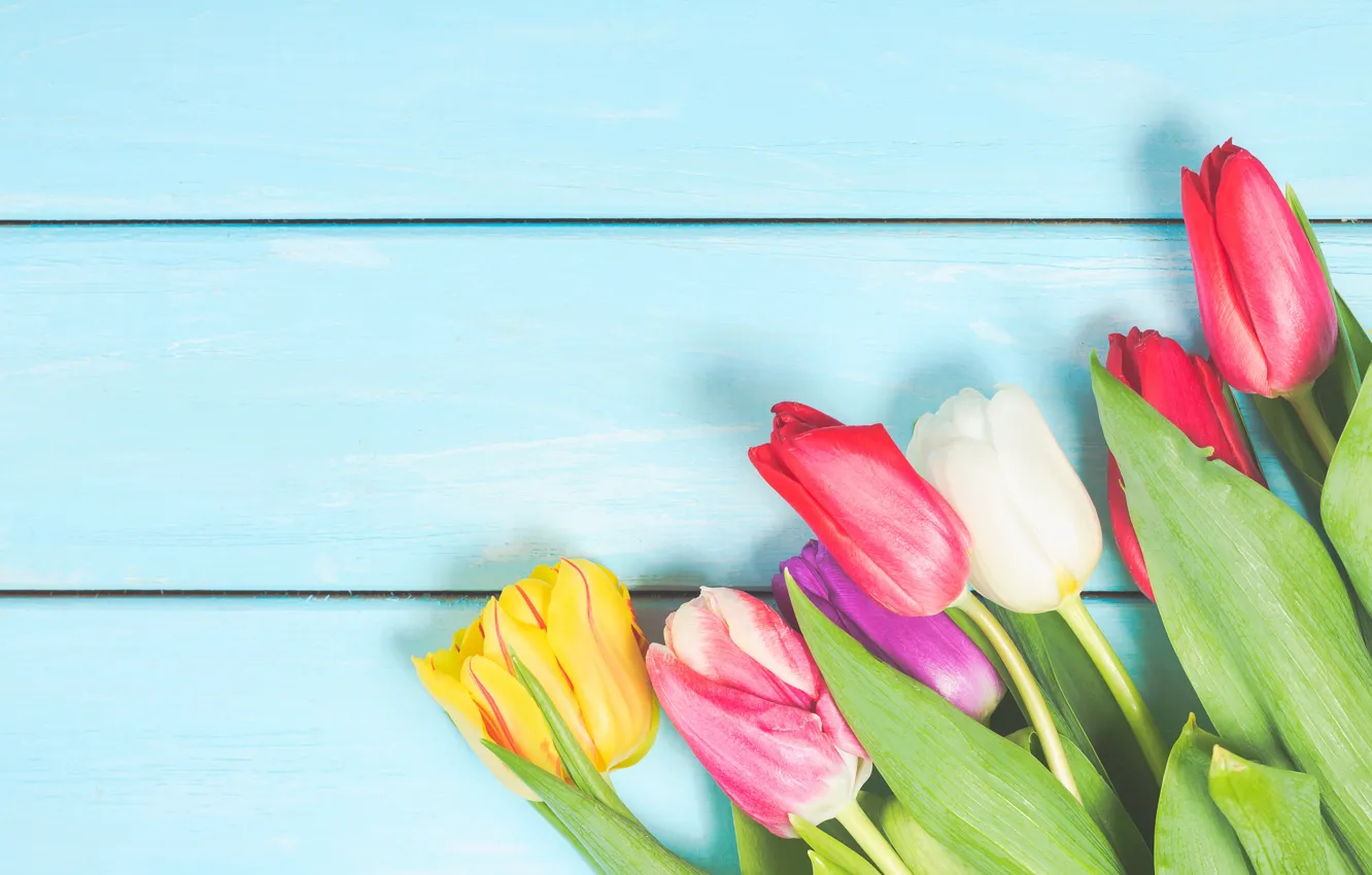 Фото обои цветы, букет, colorful, тюльпаны, wood, flowers, tulips, bouquet
