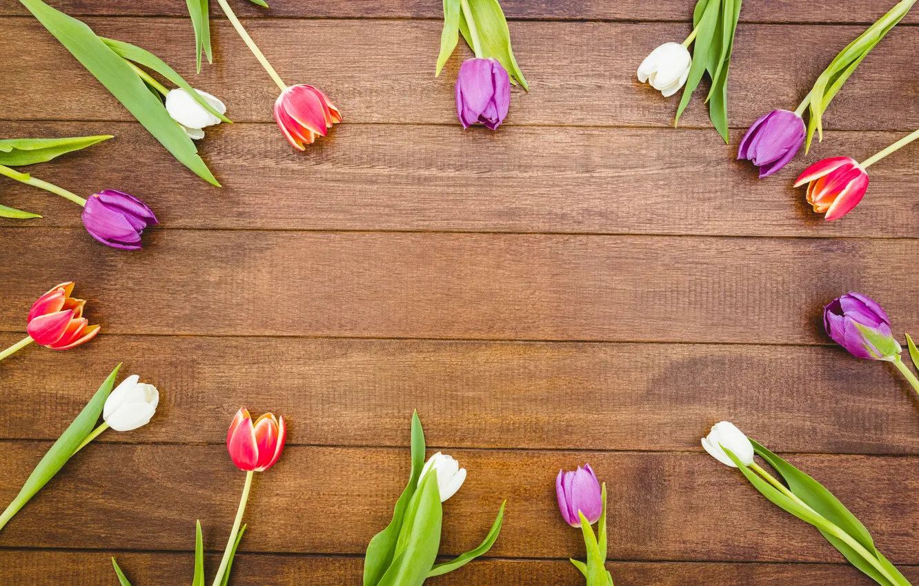 Фото обои цветы, colorful, тюльпаны, red, white, wood, flowers, tulips