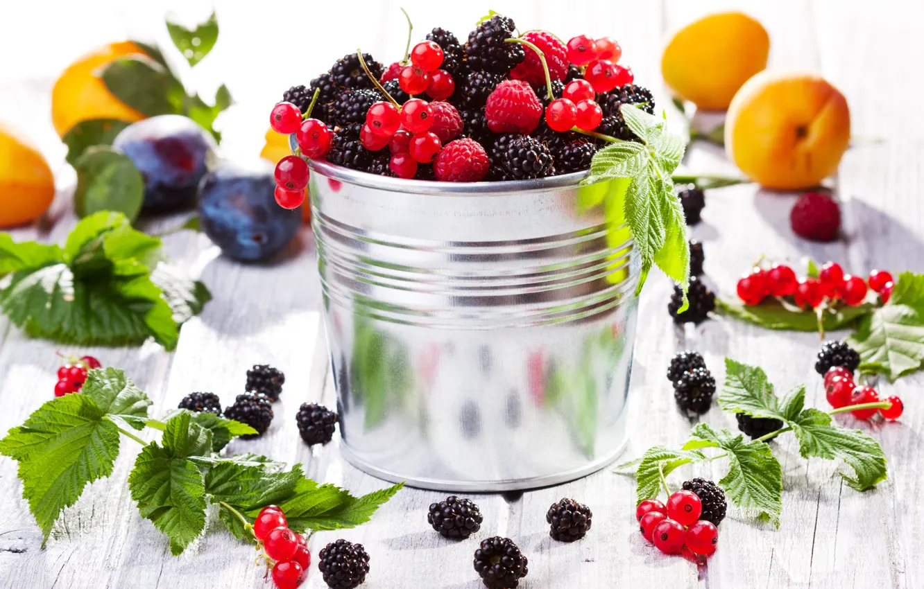 Фото обои ягоды, малина, фрукты, сливы, смородина, ежевика, абрикосы, fruits