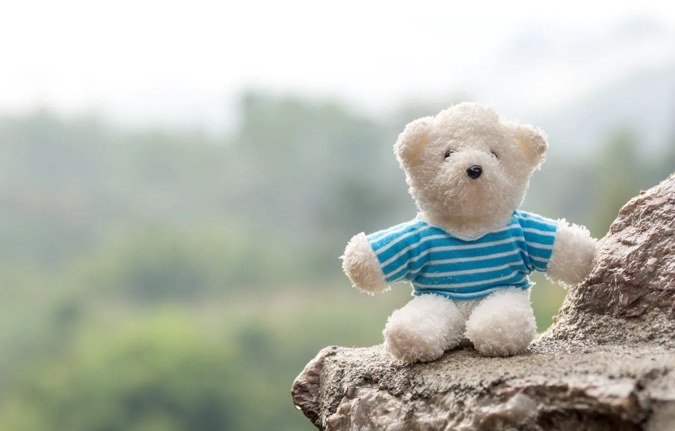 Фото обои любовь, игрушка, медведь, love, bear, romantic, teddy, cute
