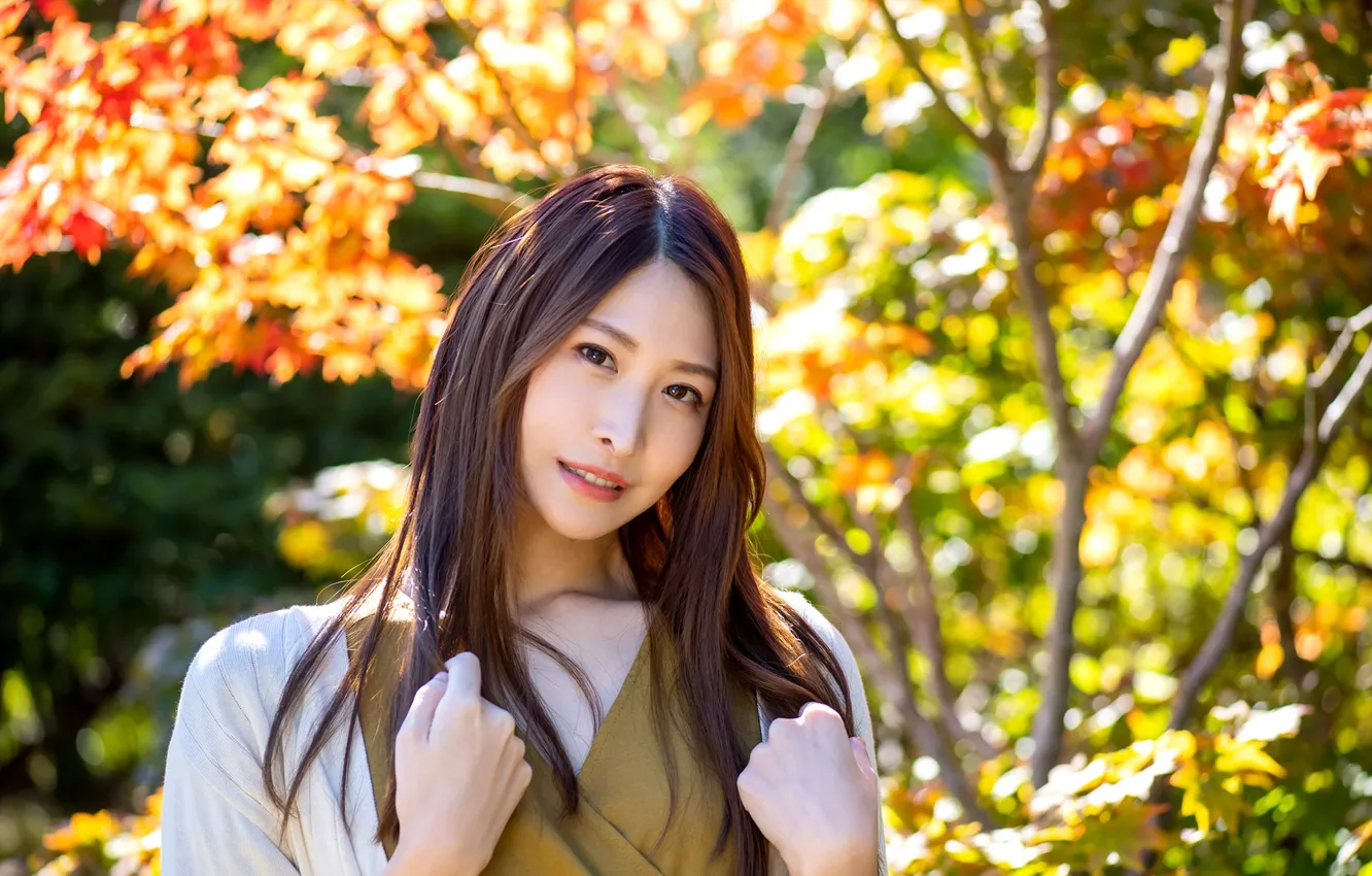 Фото обои Model, Tree, Woman, Pretty, Japanese, Outdoor, Mai Kanami