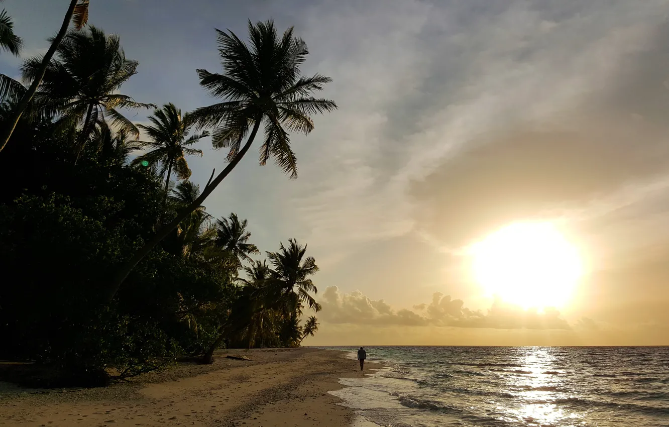 Фото обои песок, закат, тропики, пальмы, океан, отдых, остров, экзотика
