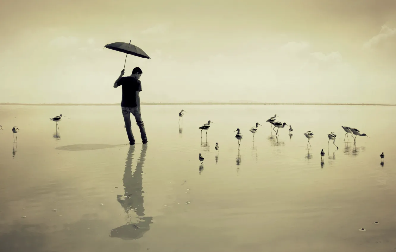 Фото обои море, птицы, зонт, парень