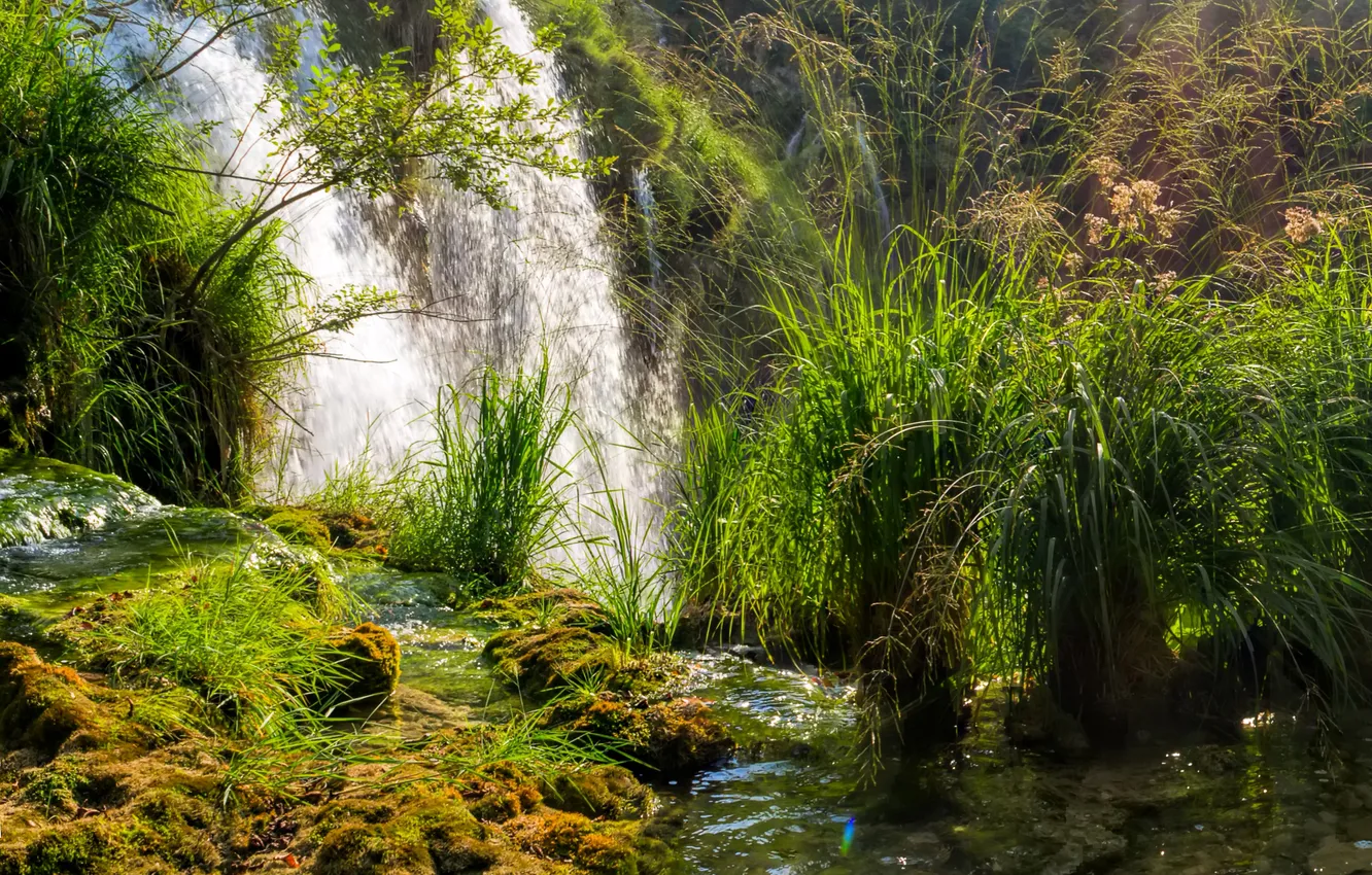 Фото обои трава, водопад, мох, солнечно, кусты, Хорватия, Plitvice National Park