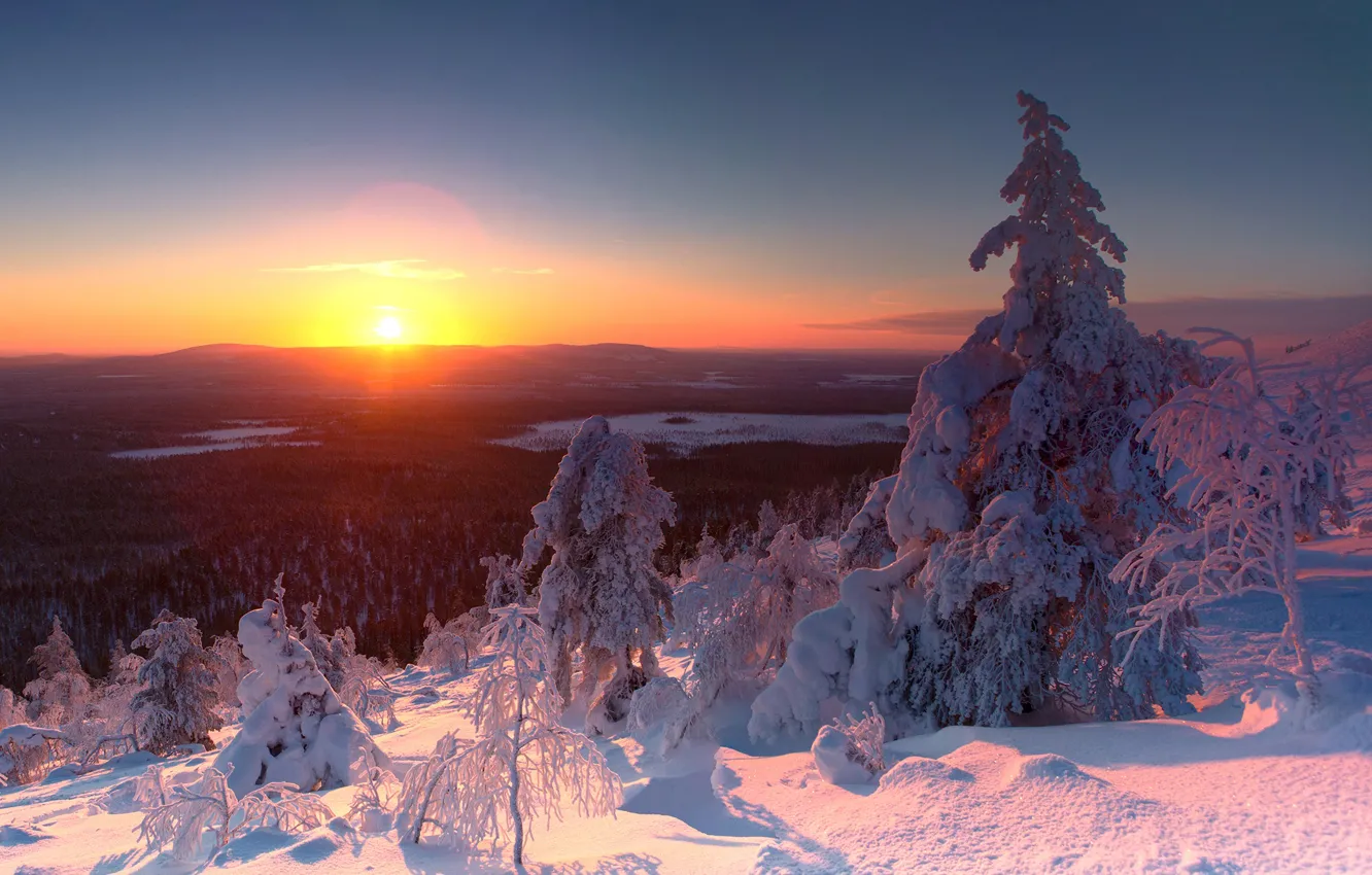 Фото обои зима, снег, деревья, пейзаж, природа, рассвет, утро, ели