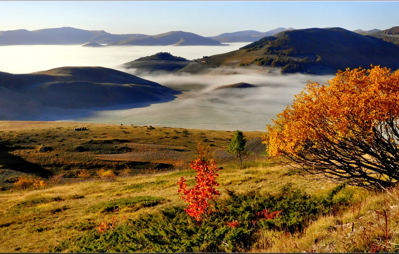 Фото обои осень, небо, деревья, горы, туман