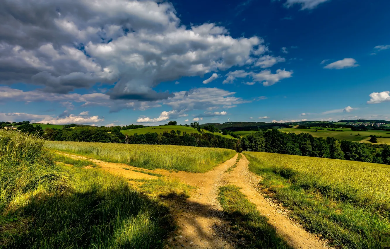 Фото обои дорога, поле, лес, лето, небо, трава, облака, свет