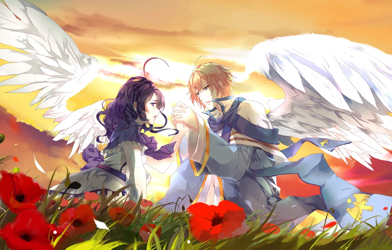 Фото обои девушка, закат, цветы, поляна, крылья, парень, Двое, влюбленные