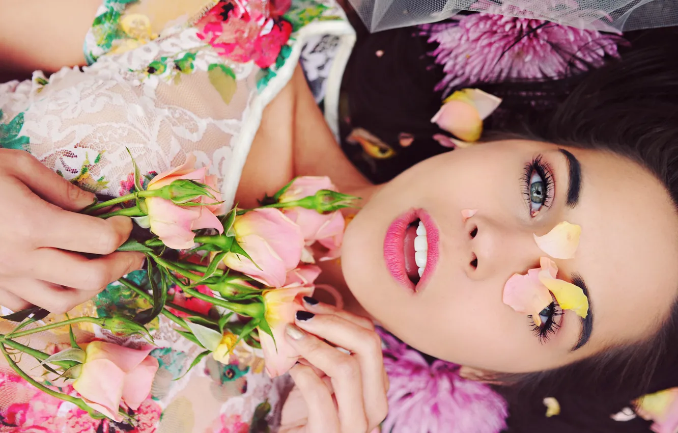 Фото обои девушка, цветы, модель, розы, лепестки, брюнетка, Rachel Dashae