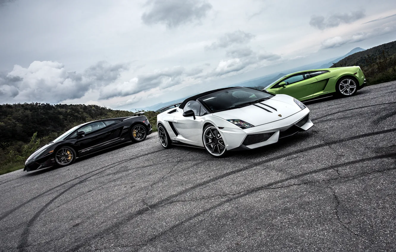 Фото обои green, Lamborghini, white, gallardo, black, spyder, LP570-4, superleggera