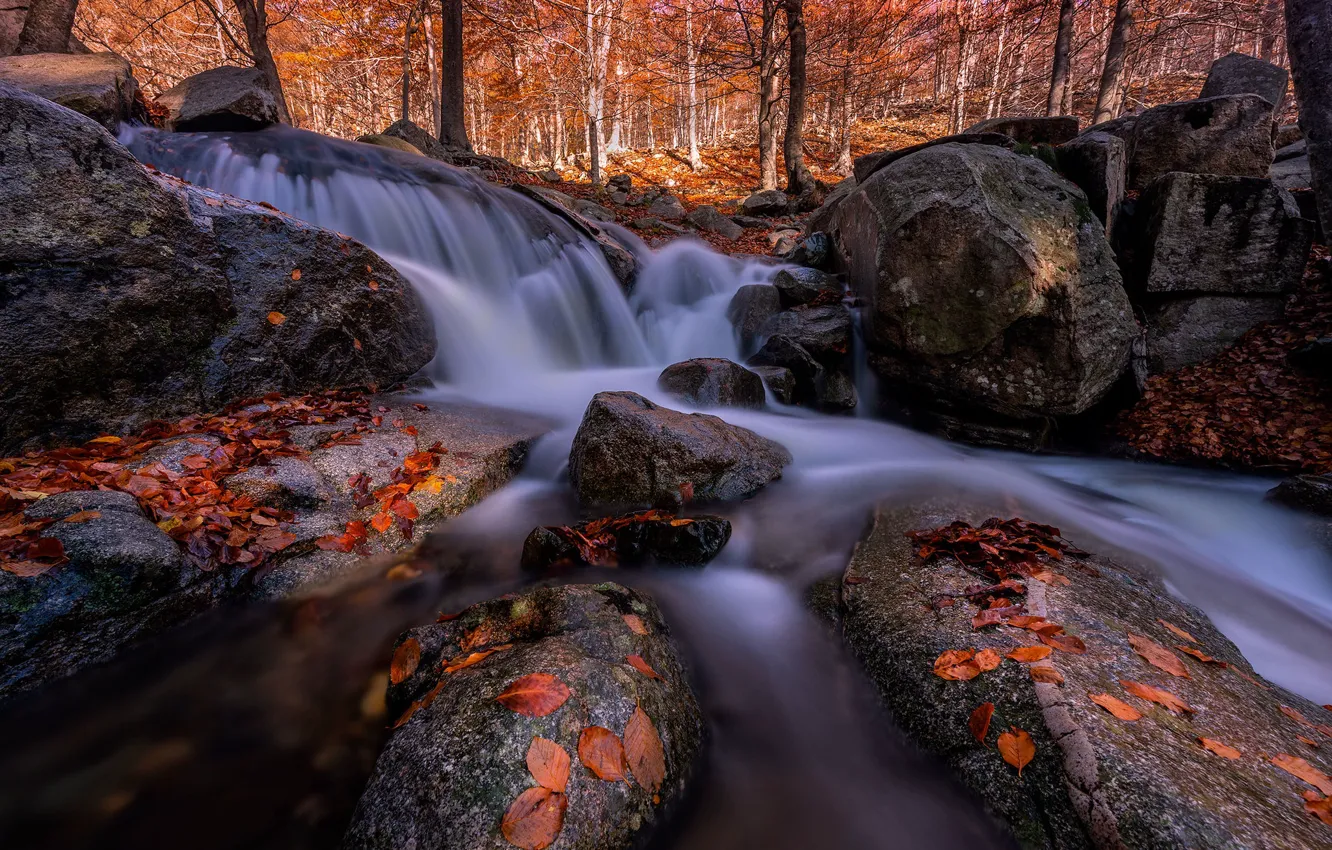 Фото обои осень, лес, камни, водопад, валуны, осенние листья