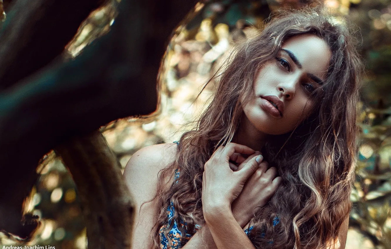 Фото обои взгляд, солнце, деревья, природа, поза, модель, портрет, руки
