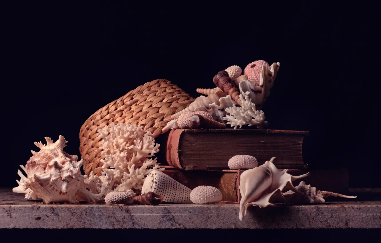 Фото обои книги, шляпа, кораллы, ракушки, hat, books, shells, corals
