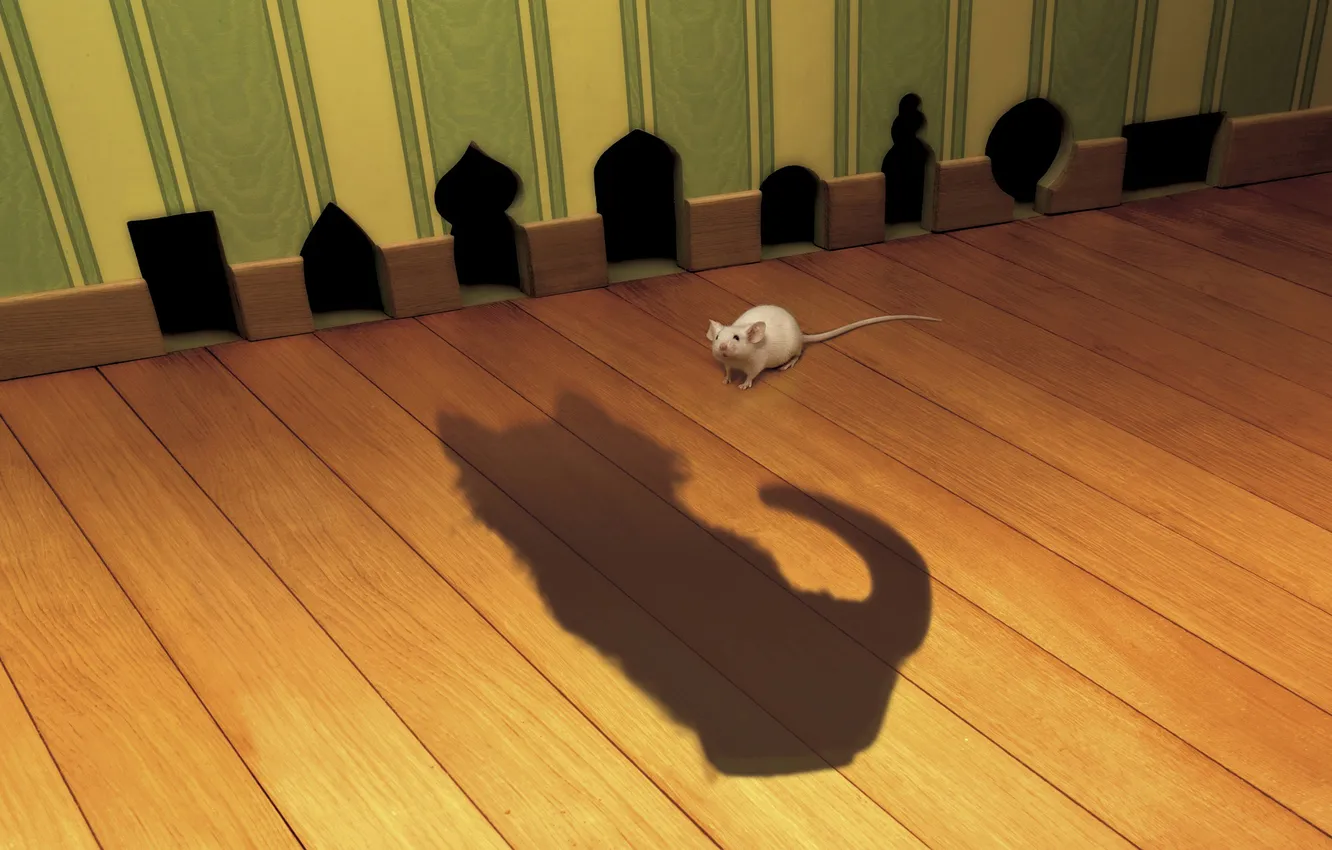 Фото обои кот, тень, мышь