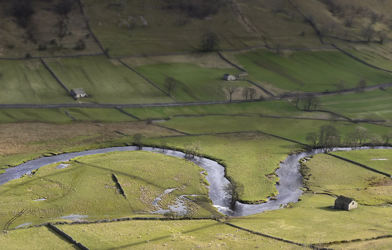 Фото обои река, поля, овцы, тень, england, yorkshire