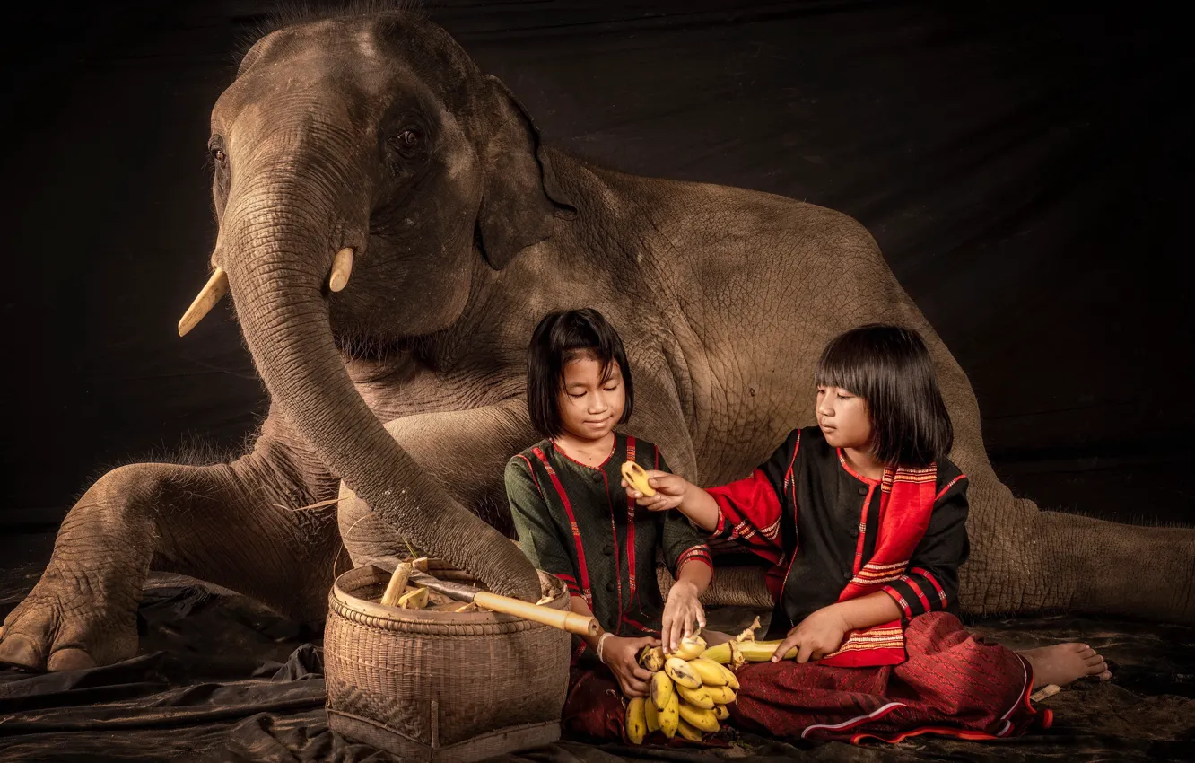 Фото обои девочки, слон, ситуация, бананы