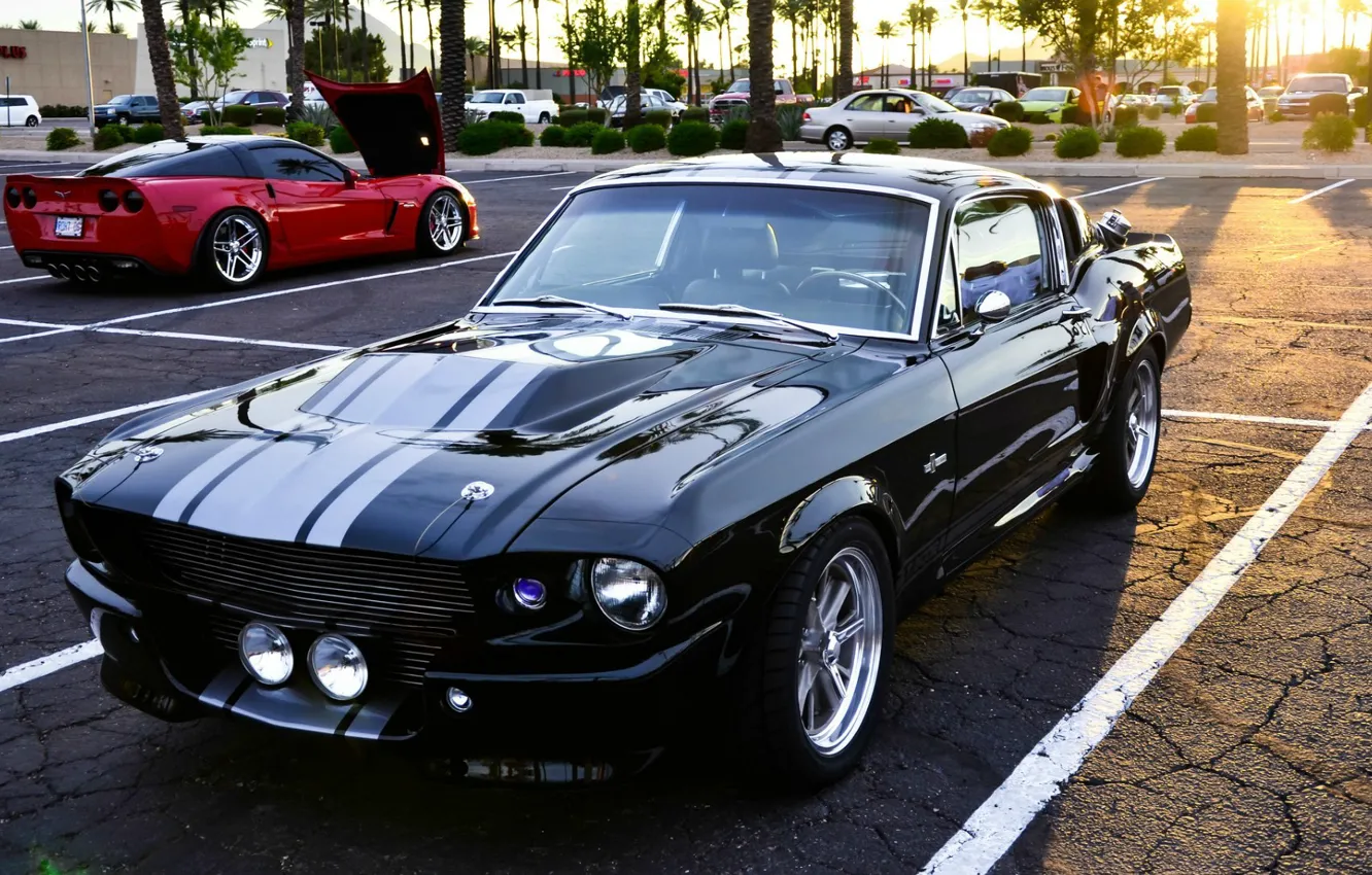 Фото обои Mustang, Ford, Shelby, GT500, Eleanor, Black, Super Snake