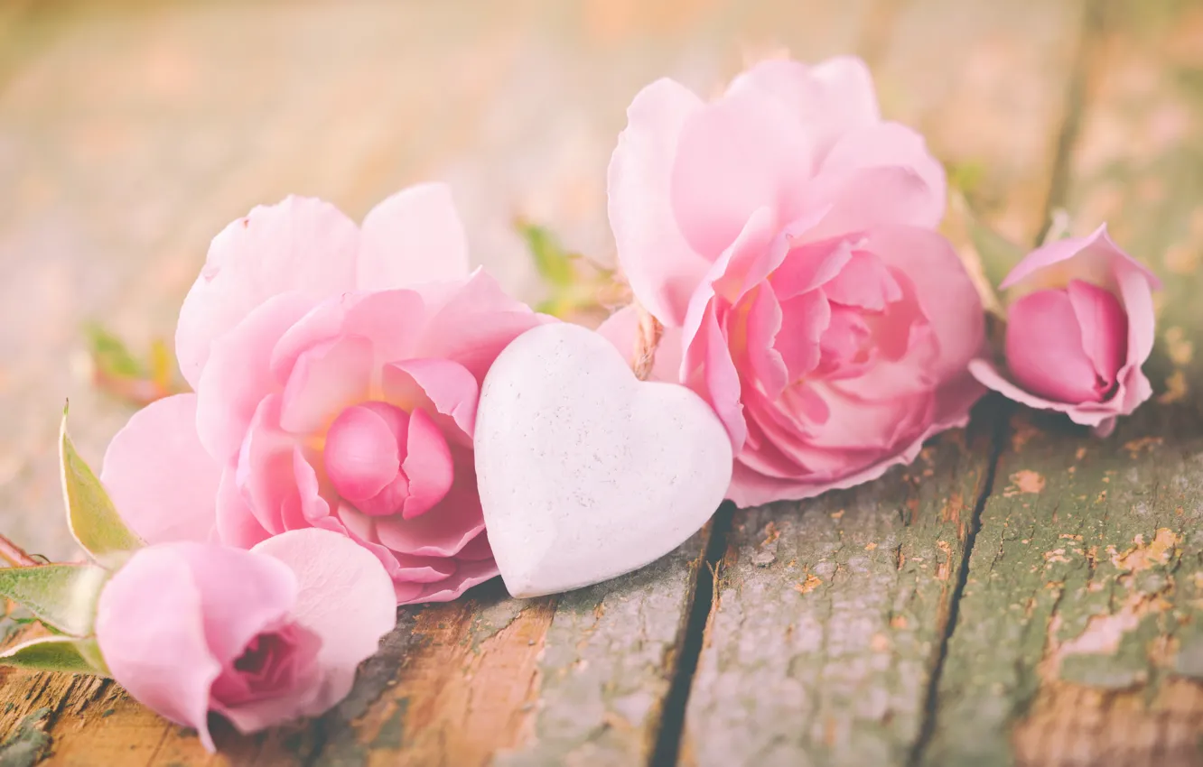 Фото обои розы, лепестки, love, heart, pink, flowers, romantic, roses