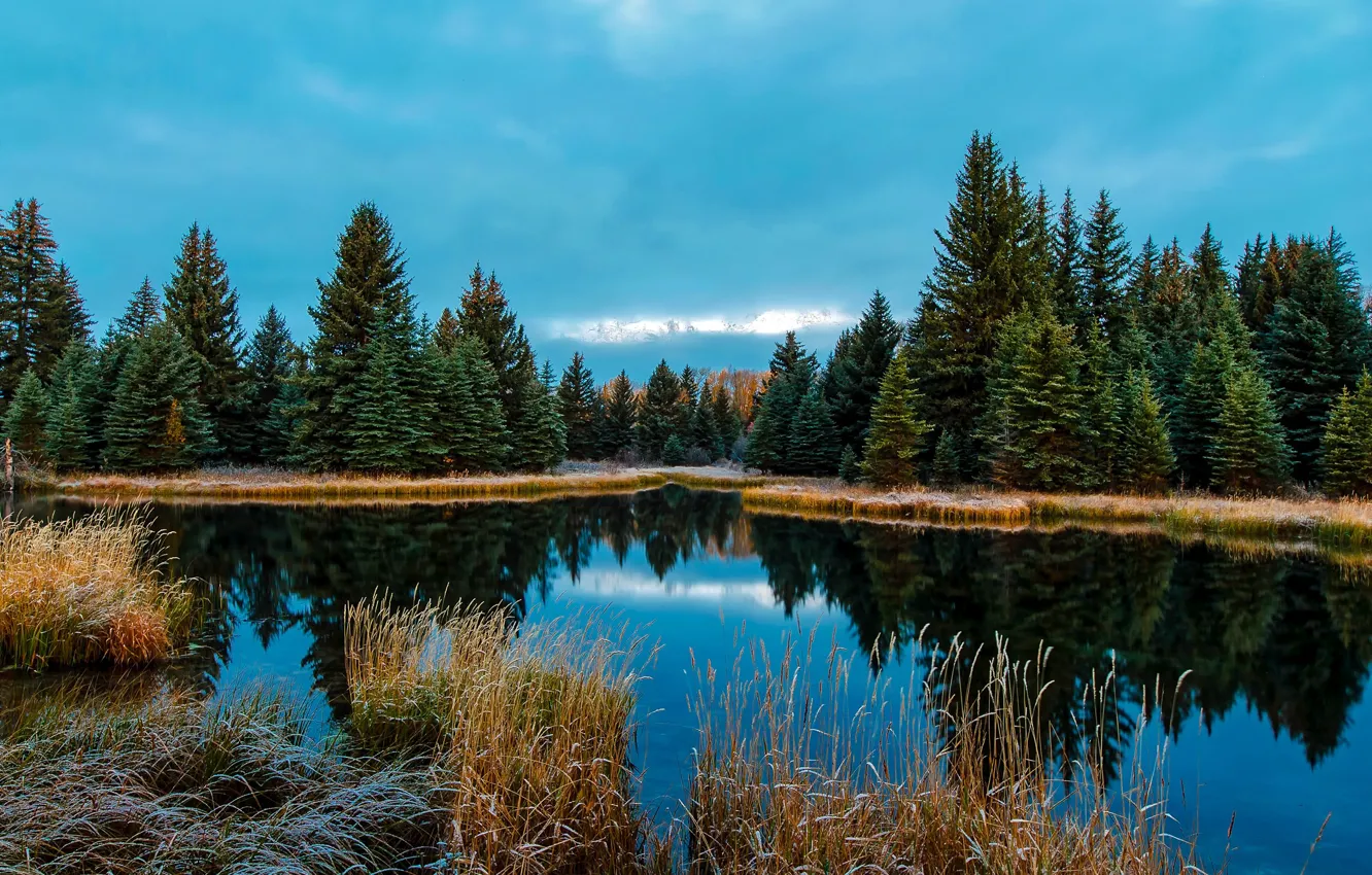 Фото обои иней, осень, лес, трава, деревья, озеро, Вайоминг, США